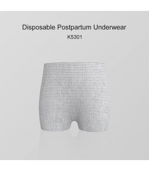 K5301 Disposable Postpartum Underwear